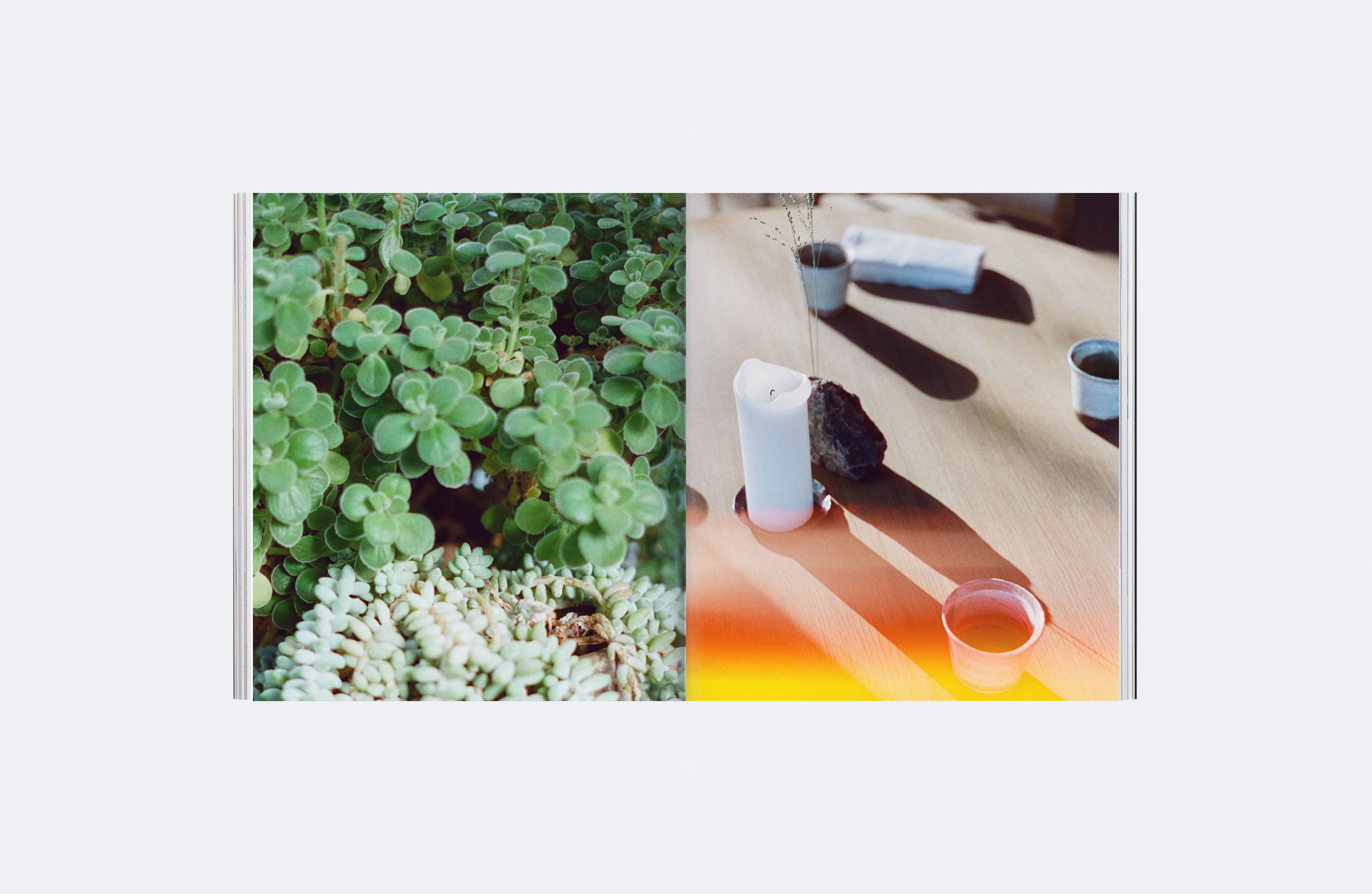 Plates Issue 01 - Image 5